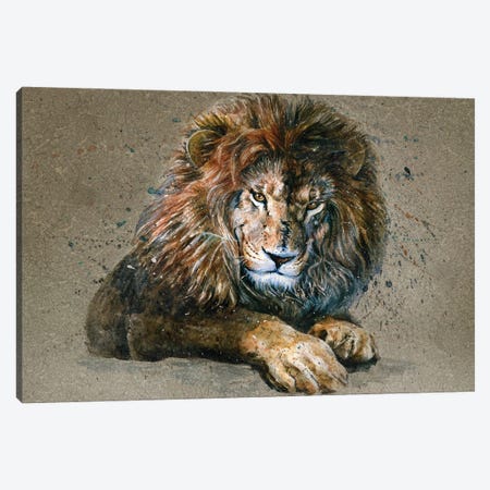 Lion III Canvas Print #KNK30} by Konstantin Kalinin Canvas Art Print
