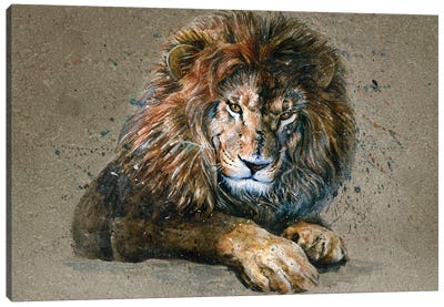 Lion III Canvas Art Print - Konstantin Kalinin