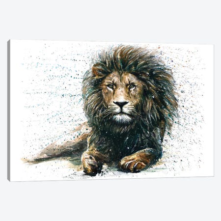 Lion IV Canvas Print #KNK31} by Konstantin Kalinin Art Print