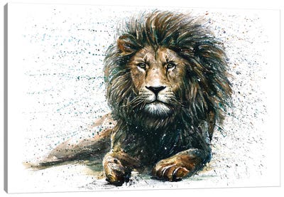 Lion IV Canvas Art Print - Konstantin Kalinin