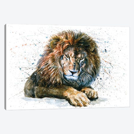 Lion V Canvas Print #KNK32} by Konstantin Kalinin Art Print