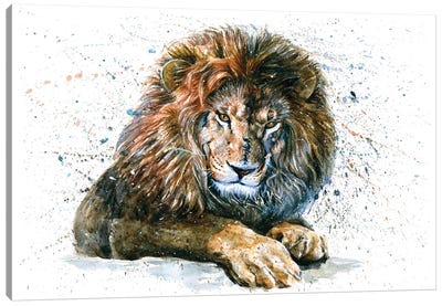Lion V Canvas Art Print - Konstantin Kalinin