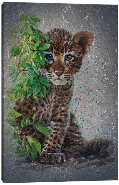 Little Leopard II Canvas Art Print - Konstantin Kalinin