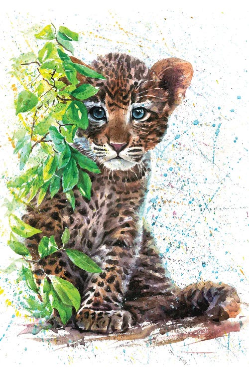 Little Leopard