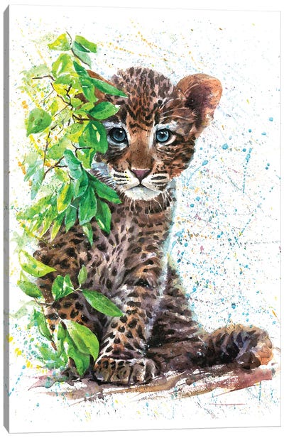 Little Leopard Canvas Art Print