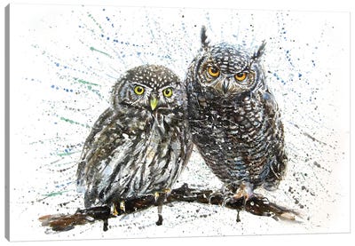 Little Owl Canvas Art Print - Konstantin Kalinin