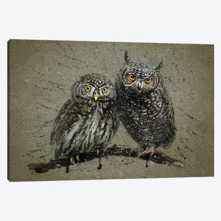 Little Owls Canvas Print #KNK40} by Konstantin Kalinin Canvas Wall Art