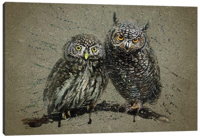 Little Owls Canvas Art Print - Konstantin Kalinin