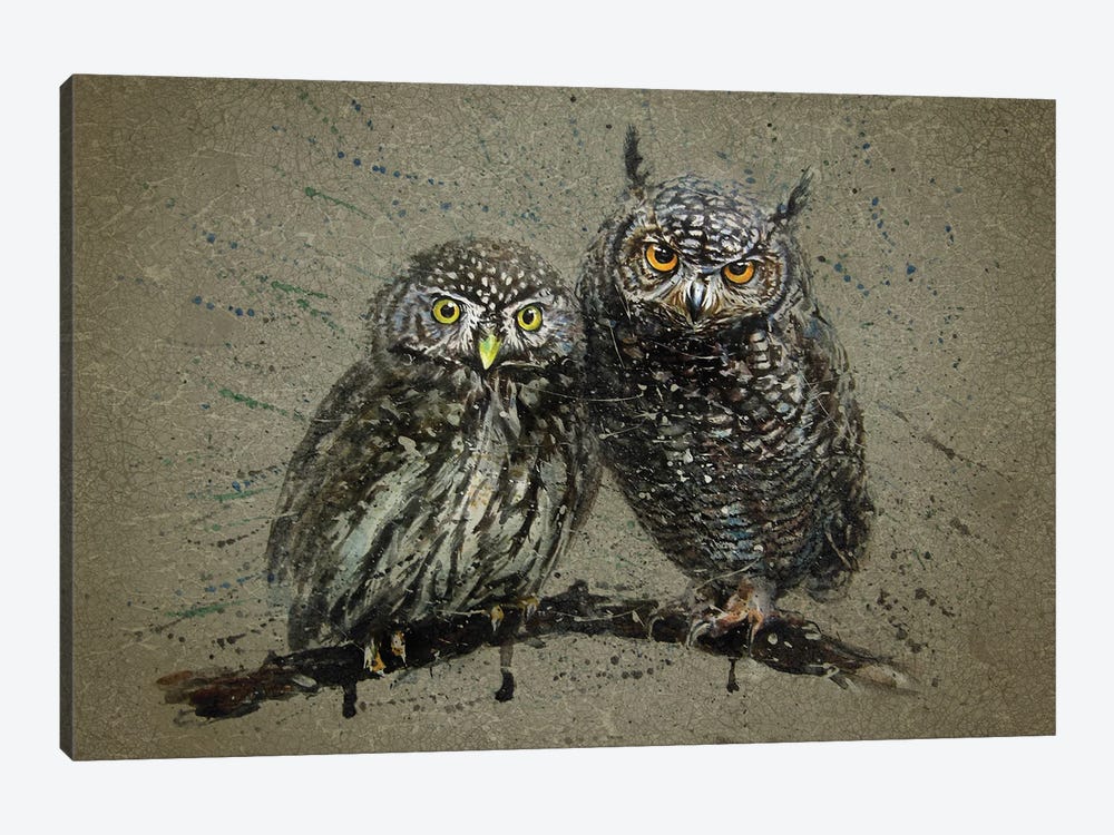 Little Owls by Konstantin Kalinin 1-piece Canvas Artwork