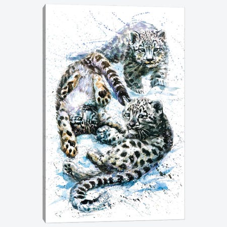 Little Snow Leopards Canvas Print #KNK41} by Konstantin Kalinin Canvas Wall Art