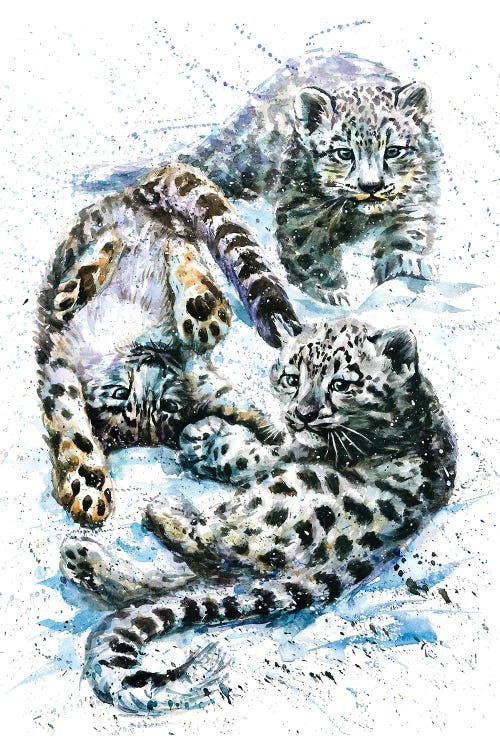 Little Snow Leopards