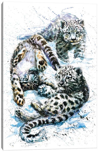 Little Snow Leopards Canvas Art Print