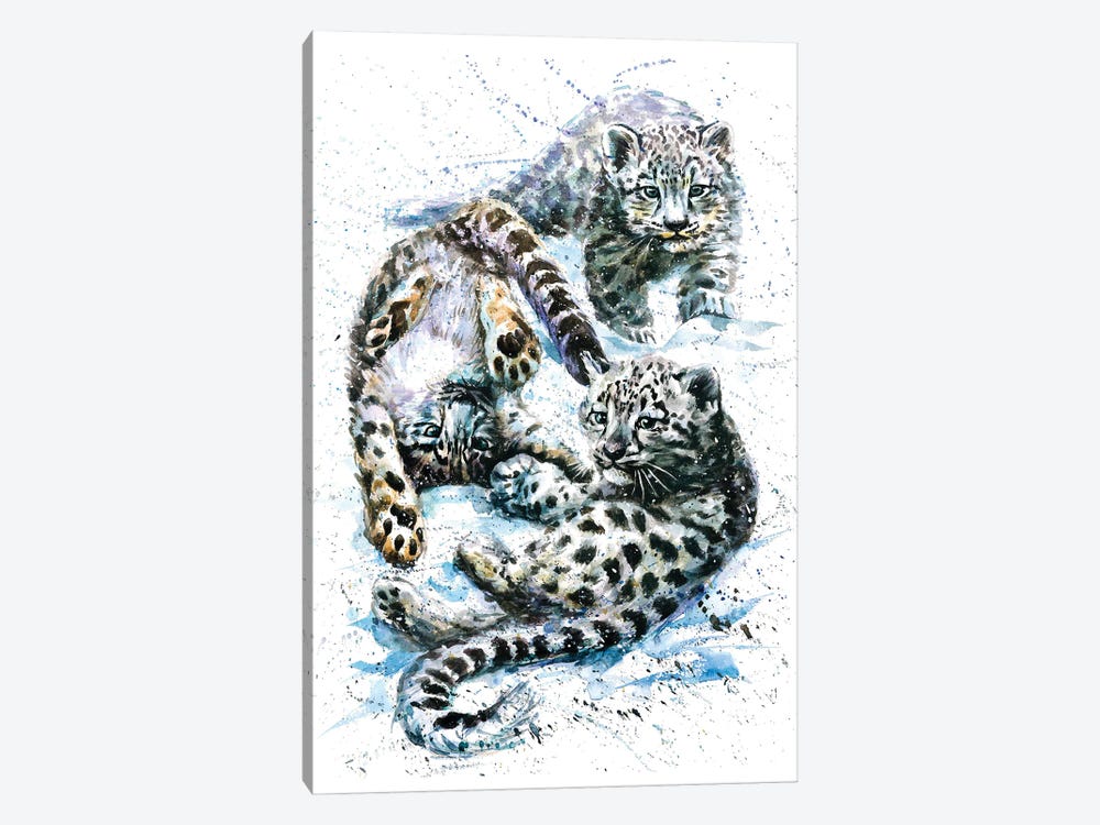 Little Snow Leopards by Konstantin Kalinin 1-piece Canvas Art Print