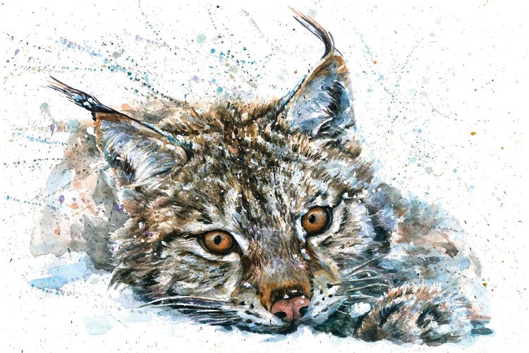 Lynx II