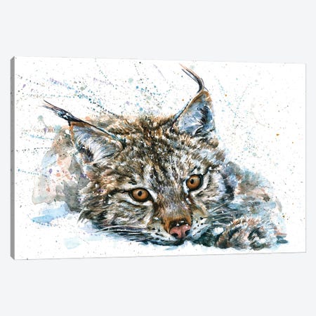 Lynx II Canvas Print #KNK43} by Konstantin Kalinin Canvas Wall Art