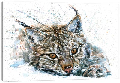 Lynx II Canvas Art Print - Lynx Art