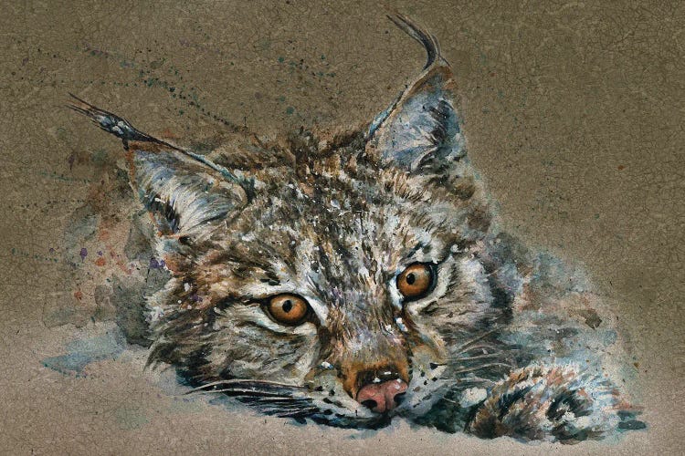 Lynx