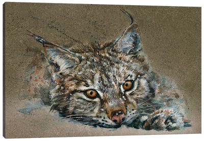 Lynx Canvas Art Print - Konstantin Kalinin