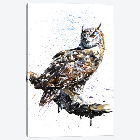 Owl II Canvas Print #KNK45} by Konstantin Kalinin Art Print