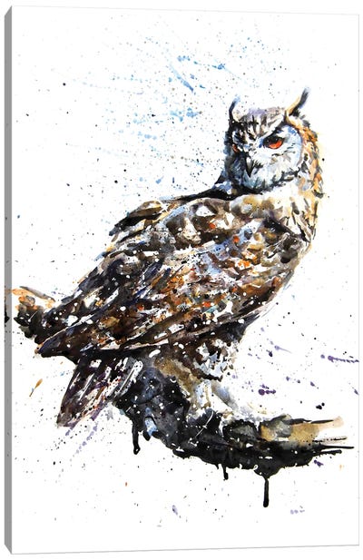 Owl II Canvas Art Print - Konstantin Kalinin