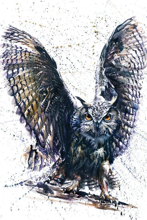 Owl III