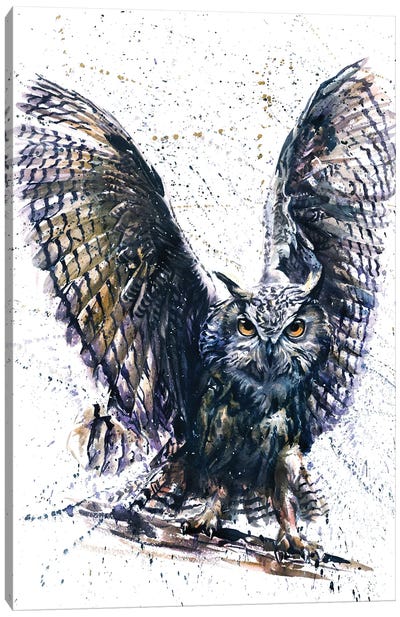 Owl III Canvas Art Print - Konstantin Kalinin