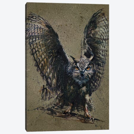 Owl Background Canvas Print #KNK47} by Konstantin Kalinin Canvas Art Print