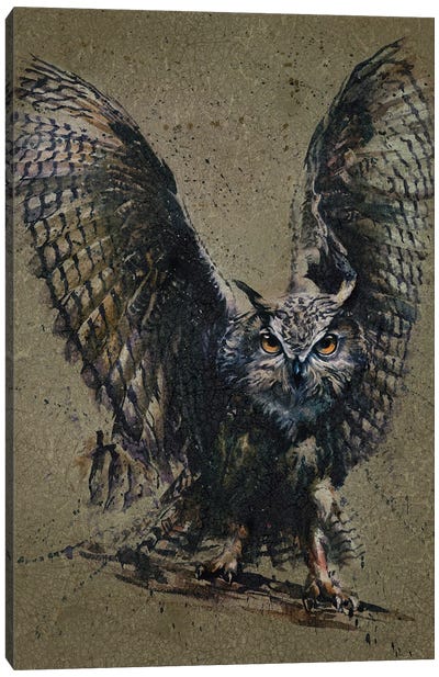 Owl Background Canvas Art Print - Konstantin Kalinin