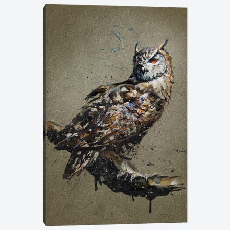 Owl Canvas Print #KNK48} by Konstantin Kalinin Canvas Artwork