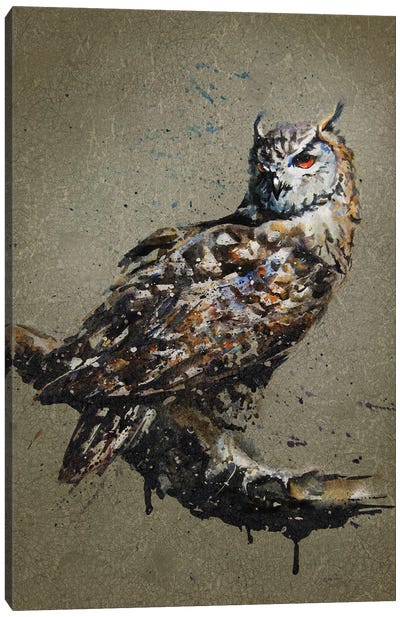 Owl Canvas Art Print - Konstantin Kalinin