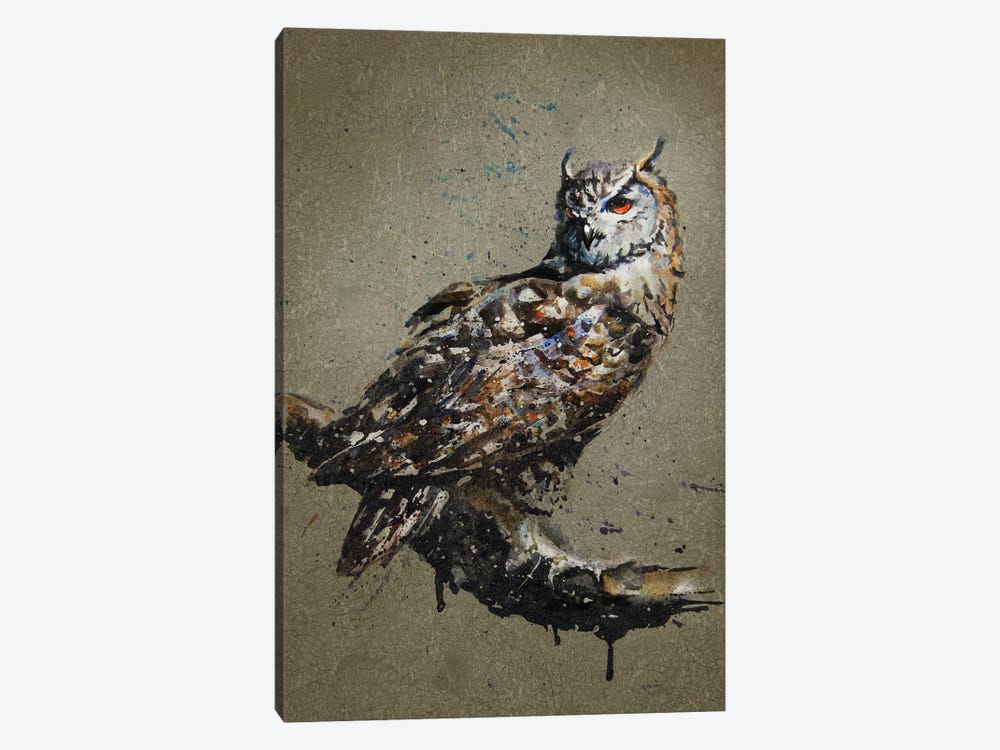 Owl by Konstantin Kalinin 1-piece Canvas Artwork