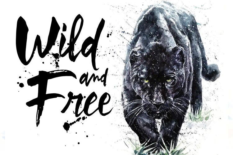 Panther Wild And Free