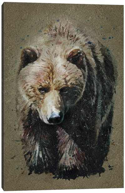 Bear Bg Canvas Art Print - Grizzly Bear Art