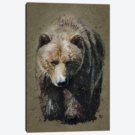 Bear Bg Canvas Print #KNK4} by Konstantin Kalinin Canvas Artwork