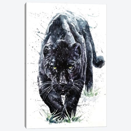 Panther II Canvas Print #KNK50} by Konstantin Kalinin Canvas Art Print