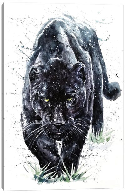Panther II Canvas Art Print - Panther Art
