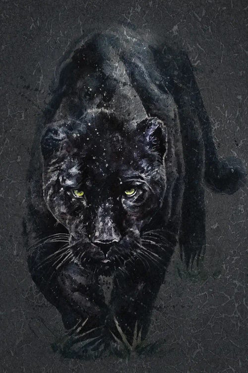 Panther