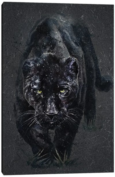 Panther Canvas Art Print - Panthers