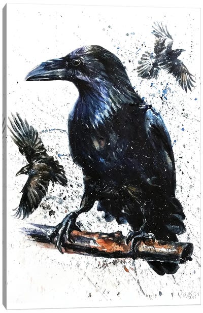 Raven II Canvas Art Print - Raven Art