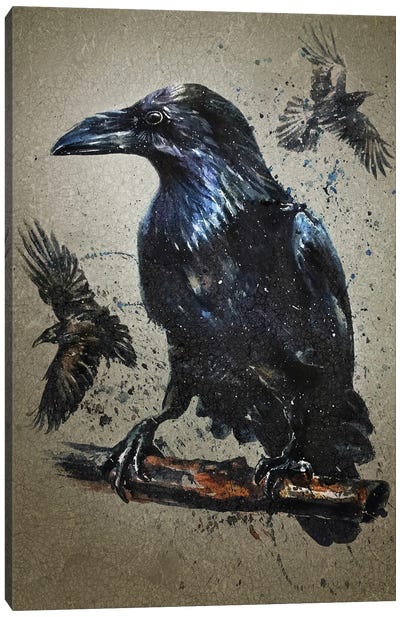 Raven Canvas Art Print - Konstantin Kalinin