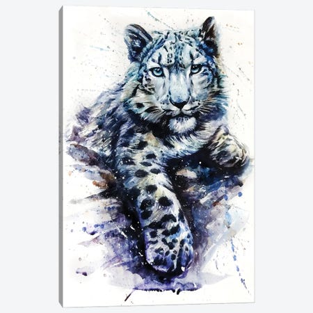 Snow Leopard II Canvas Print #KNK58} by Konstantin Kalinin Canvas Art Print