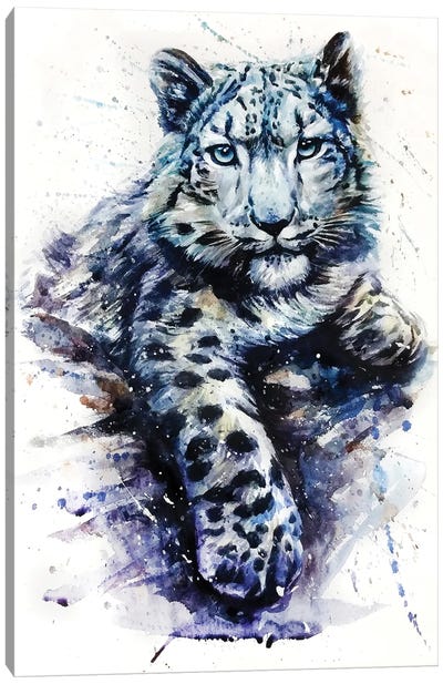 Snow Leopard II Canvas Art Print - Konstantin Kalinin