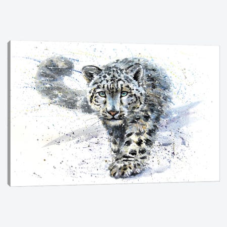 Snow Leopard III Canvas Print #KNK59} by Konstantin Kalinin Art Print
