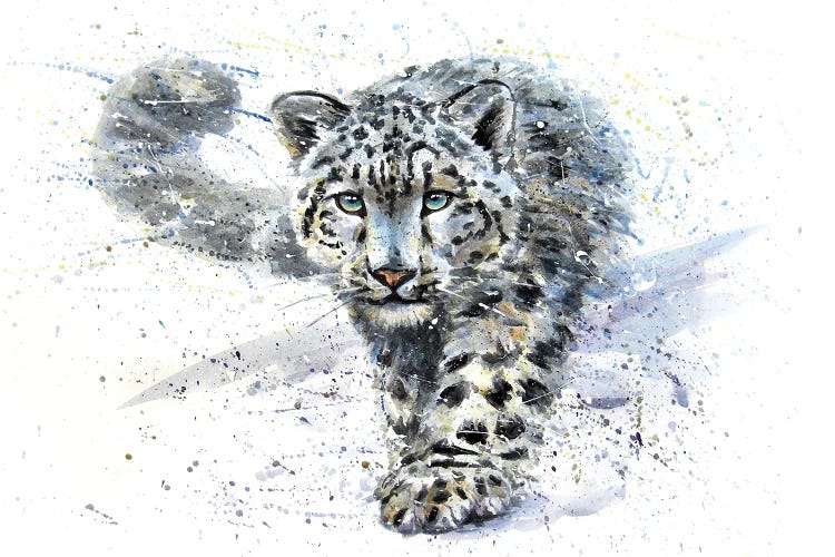 Snow Leopard III