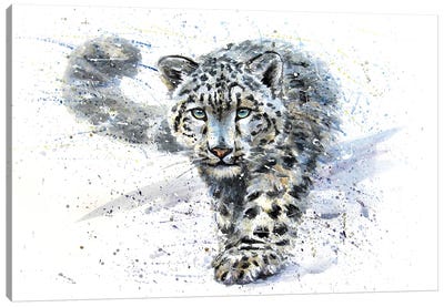 Snow Leopard III Canvas Art Print - Konstantin Kalinin