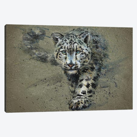 Snow Leopard Canvas Print #KNK60} by Konstantin Kalinin Canvas Artwork