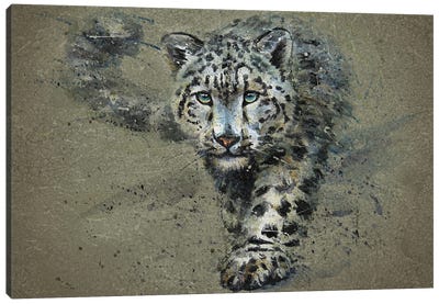 Snow Leopard Canvas Art Print - Konstantin Kalinin