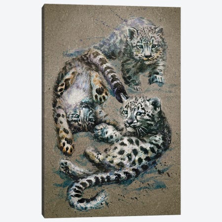 Snow Leopards Kids Canvas Print #KNK61} by Konstantin Kalinin Canvas Art