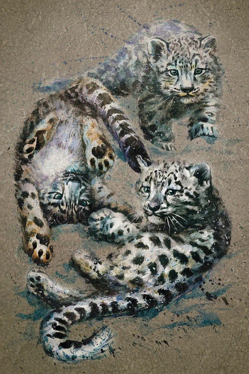 Snow Leopards Kids