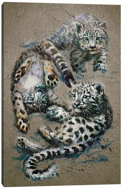 Snow Leopards Kids Canvas Art Print - Konstantin Kalinin